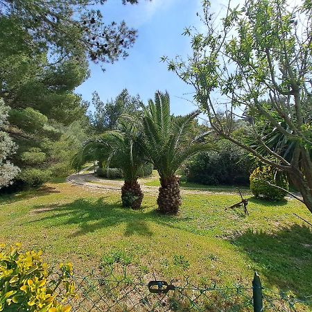 Rez De Jardin Villa Presqu'Ile De Giens Hyères Dış mekan fotoğraf