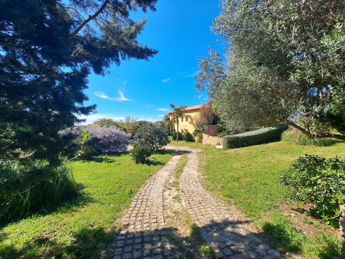 Rez De Jardin Villa Presqu'Ile De Giens Hyères Dış mekan fotoğraf